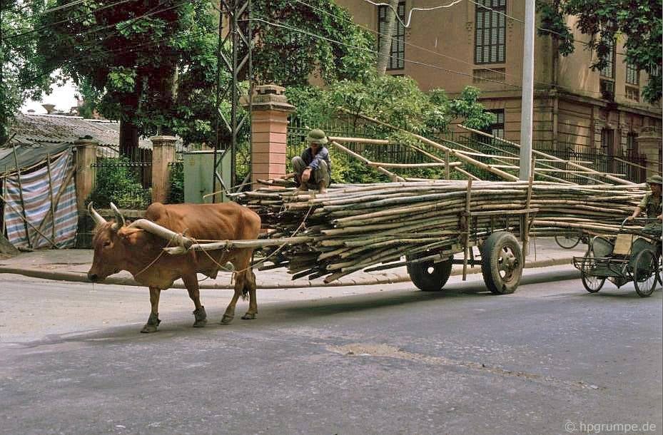 Soi những nghề lạ trên đường phố Hà Nội đầu thập niên 1990 - Ảnh 12.