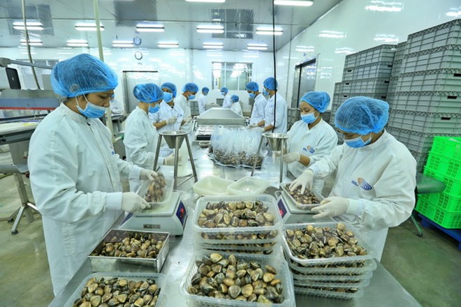 Xuất khẩu thủy sản lần đầu vượt 1 tỷ USD trong 1 tháng: Lập kỳ tích trong muôn vàn khó khăn - Ảnh 1.