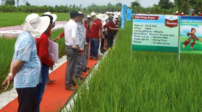 Bayer ra mắt giải pháp xử lý hạt giống mới giúp nhà nông chủng ngừa bệnh đạo ôn lá và tăng năng suất lúa - Ảnh 5.