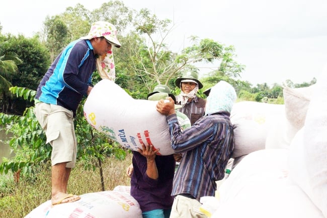 Đề án xây dựng trung tâm logistics 3.300ha: Giải bài toán tiêu thụ nông sản ở ĐBSCL - Ảnh 1.