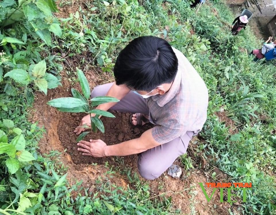 Nậm Nhùn: Lễ phát động trồng cây và ra quân trồng rừng năm 2022 - Ảnh 2. Nậm Nhùn: Lễ phát động trồng cây và ra quân trồng rừng năm 2022 - Ảnh 2.