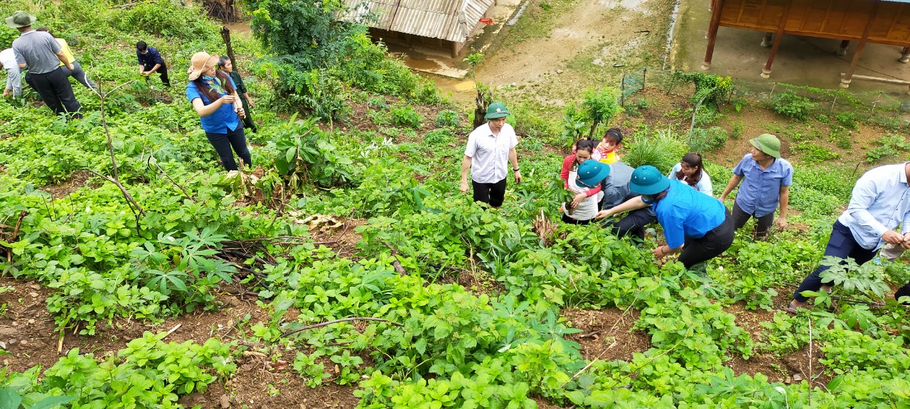 Lai Châu: Phát động trồng 1.000 cây xanh - Ảnh 2. Lai Châu: Phát động trồng 1.000 cây xanh - Ảnh 2.