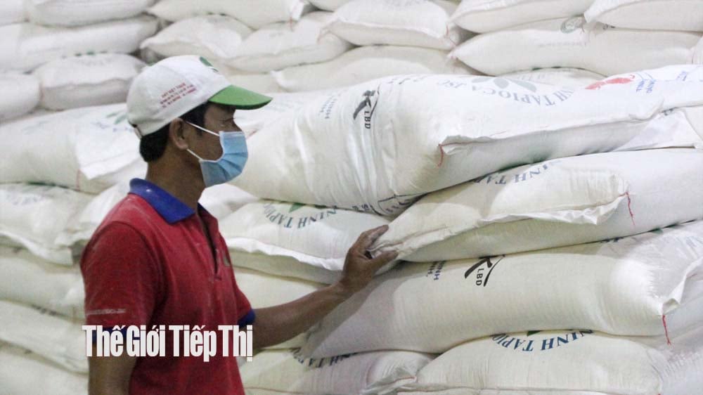 Khu vực chế biến tinh bột của Công ty CP Khoai mì Tây Ninh Tapioca. Ảnh: Trần Khánh