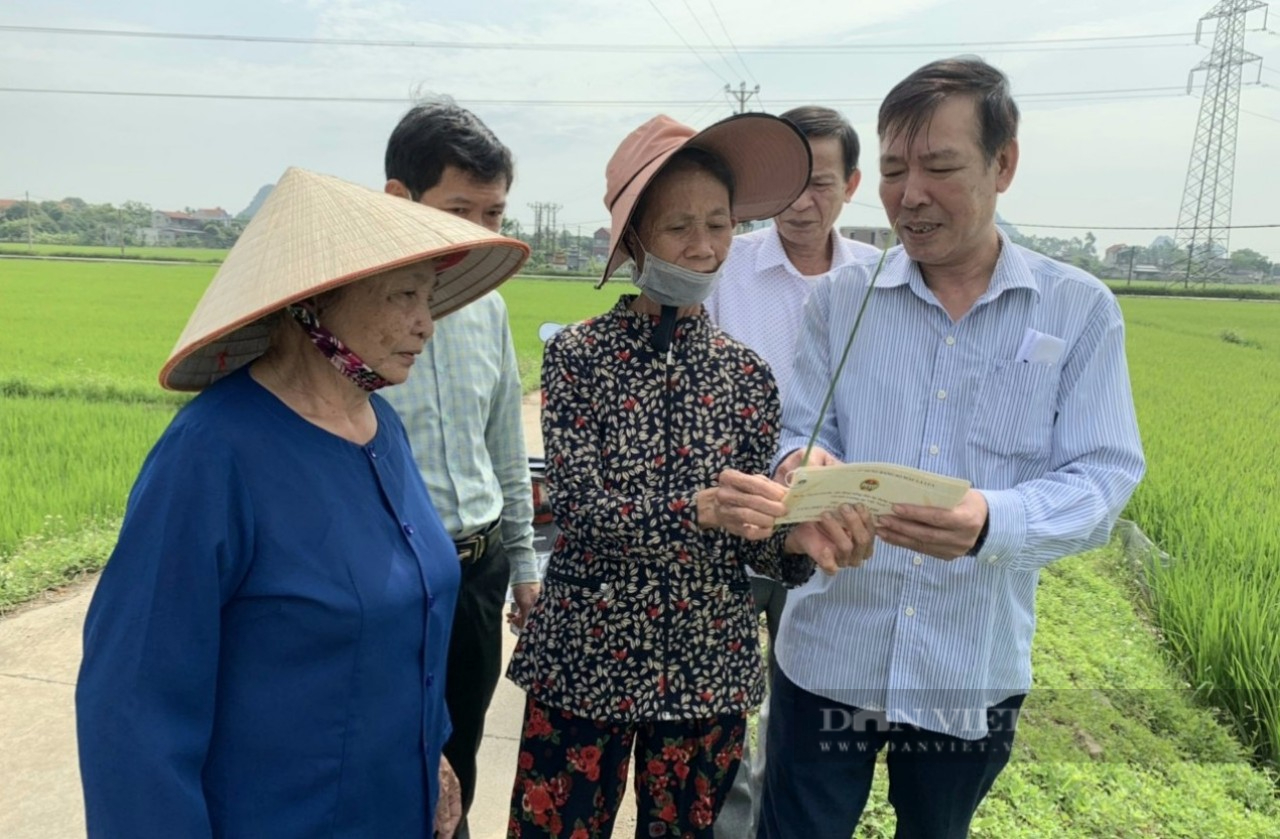 Ninh Bình: Hội thảo đầu bờ canh tác lúa thân thiện với môi trường - Ảnh 2.