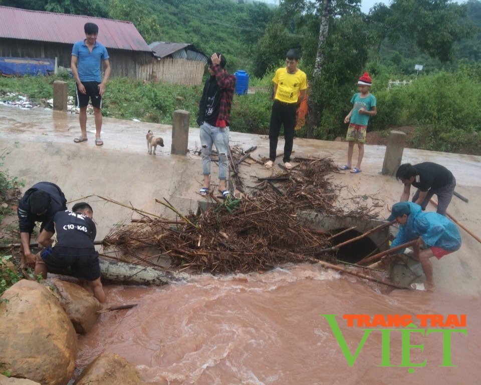 Mường Nhé: Không để người dân chịu cảnh "màn trời, chiếu đất" - Ảnh 3. Mường Nhé: Không để người dân chịu cảnh "màn trời, chiếu đất" - Ảnh 3.