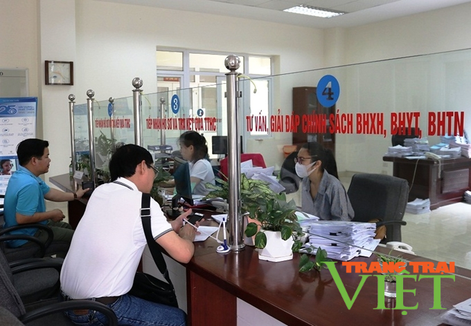 Mường Nhé: Phấn đấu hoàn thành thu ngân sách - Ảnh 3. Mường Nhé: Phấn đấu hoàn thành thu ngân sách - Ảnh 3.