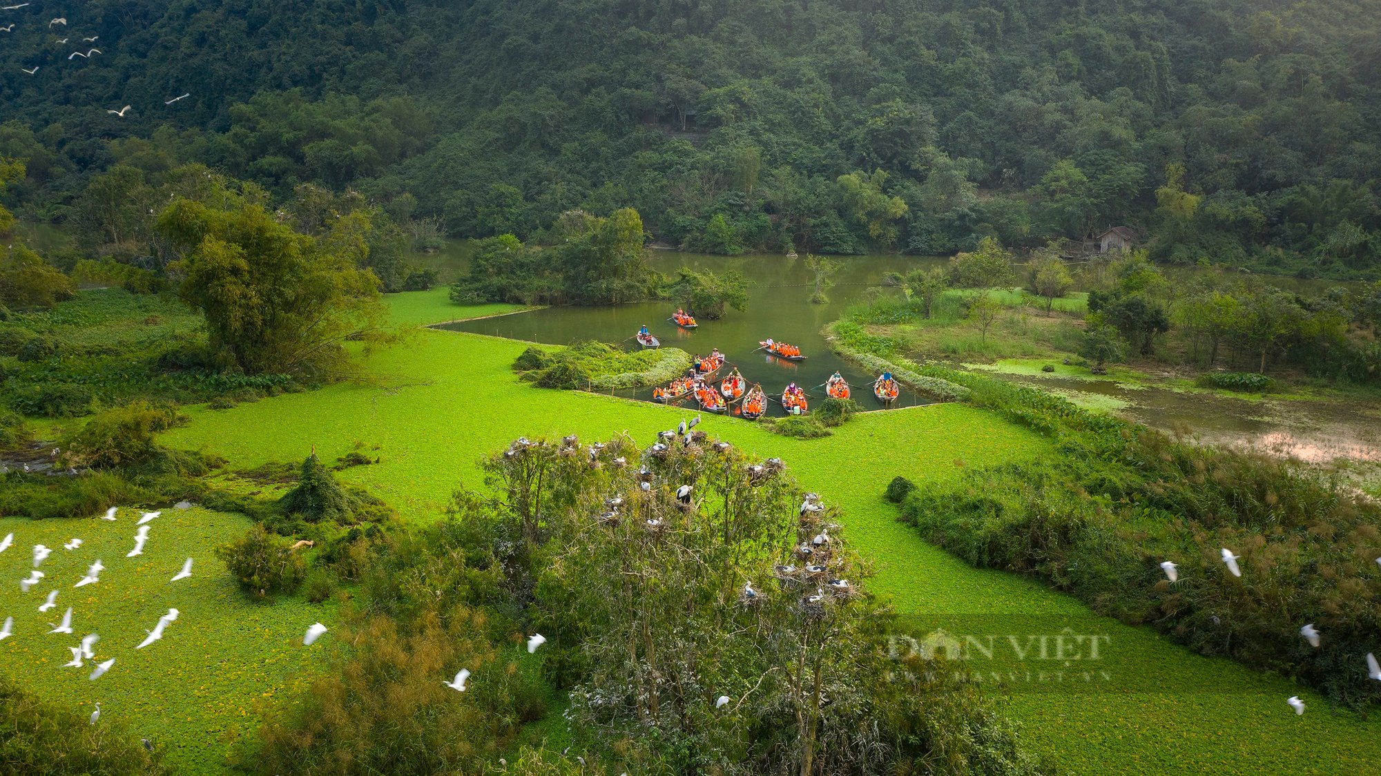 Ảnh: Phát triển du lịch gắn với bảo tồn đa dạng sinh học ở Ninh Bình - Ảnh 7.