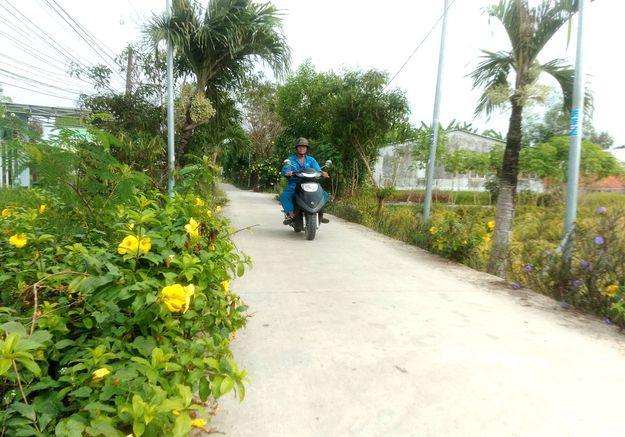 Bình Chánh tăng làm quy hoạch nông thôn mới - Ảnh 3.