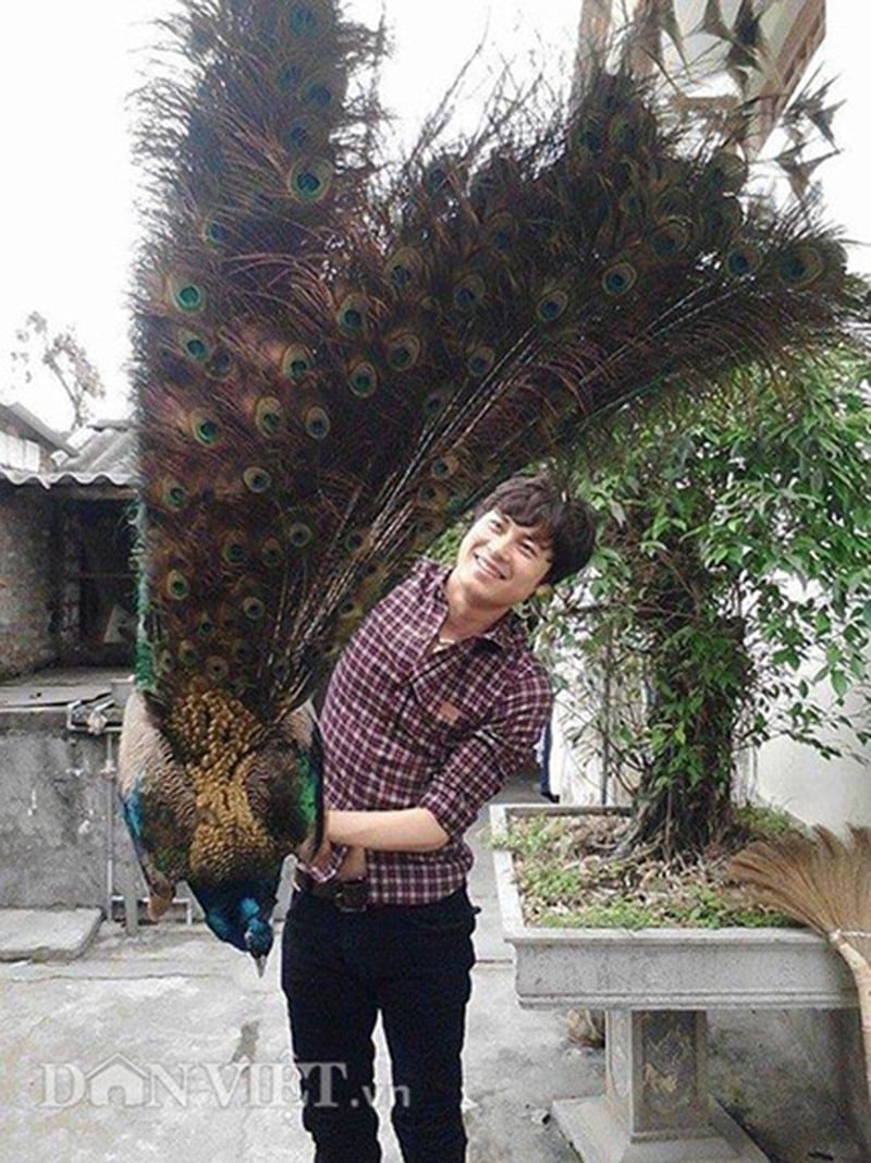Sống “khỏe” bằng nghề nuôi chim cảnh - Ảnh 1.
