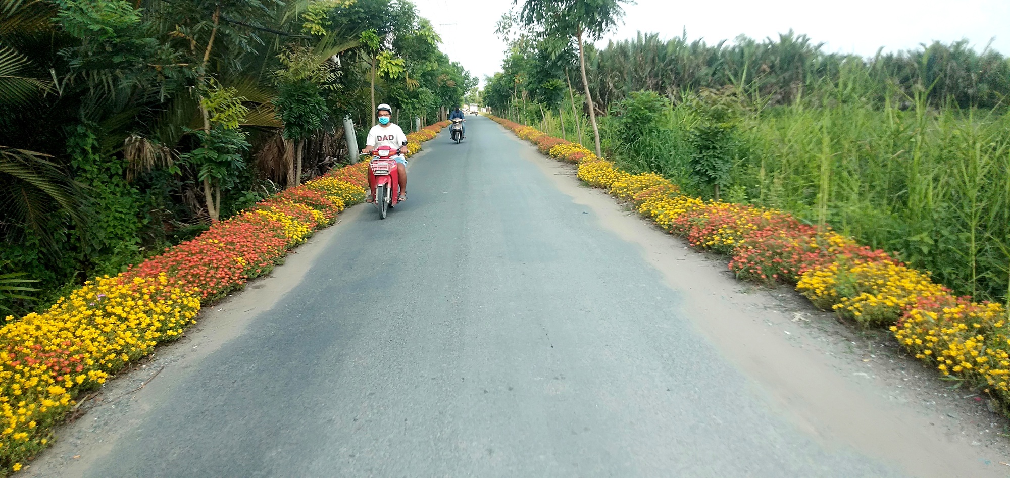 Bình Chánh tăng làm quy hoạch nông thôn mới - Ảnh 1.