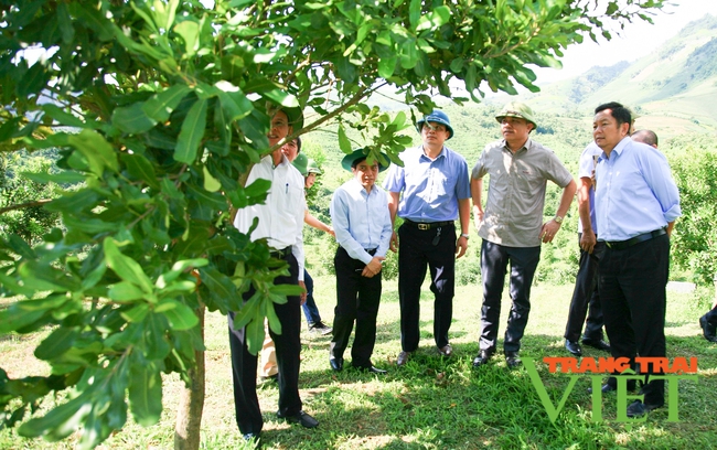 Điện Biên: Tháo gỡ khó khăn cho các dự án mắc ca   - Ảnh 1.