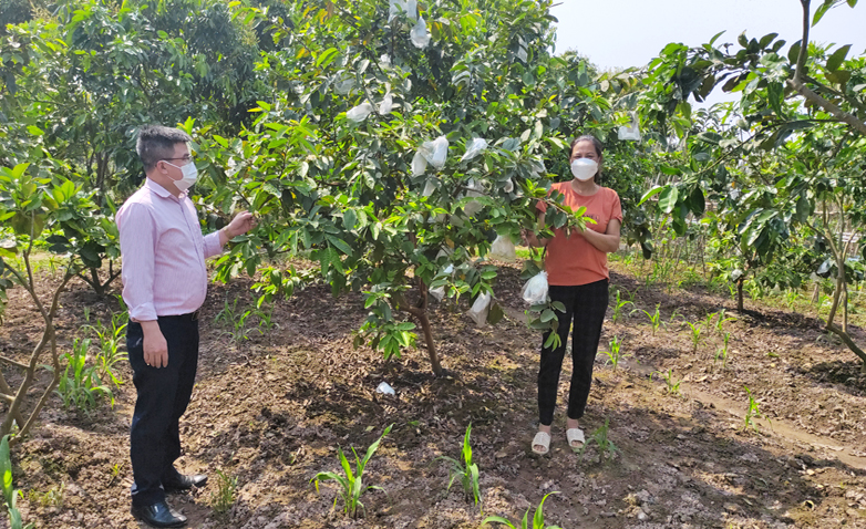 Điểm tựa tiếp sức nhà nông ở Khoái Châu - Ảnh 1.