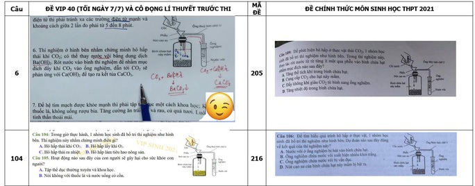 2 giáo viên bị khởi tố liên quan vụ nghi lộ đề thi môn Sinh học đối mặt khung hình phạt nào? - Ảnh 1.