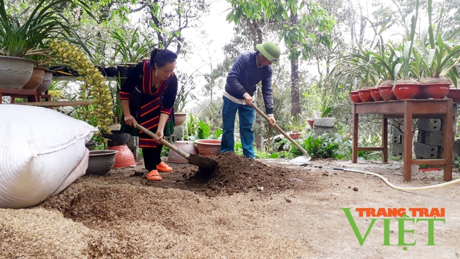 Lai Châu: Trồng  địa lan, làm du lịch cộng đồng nông dân Phong Thổ đếm tiền mỏi tay   - Ảnh 4.