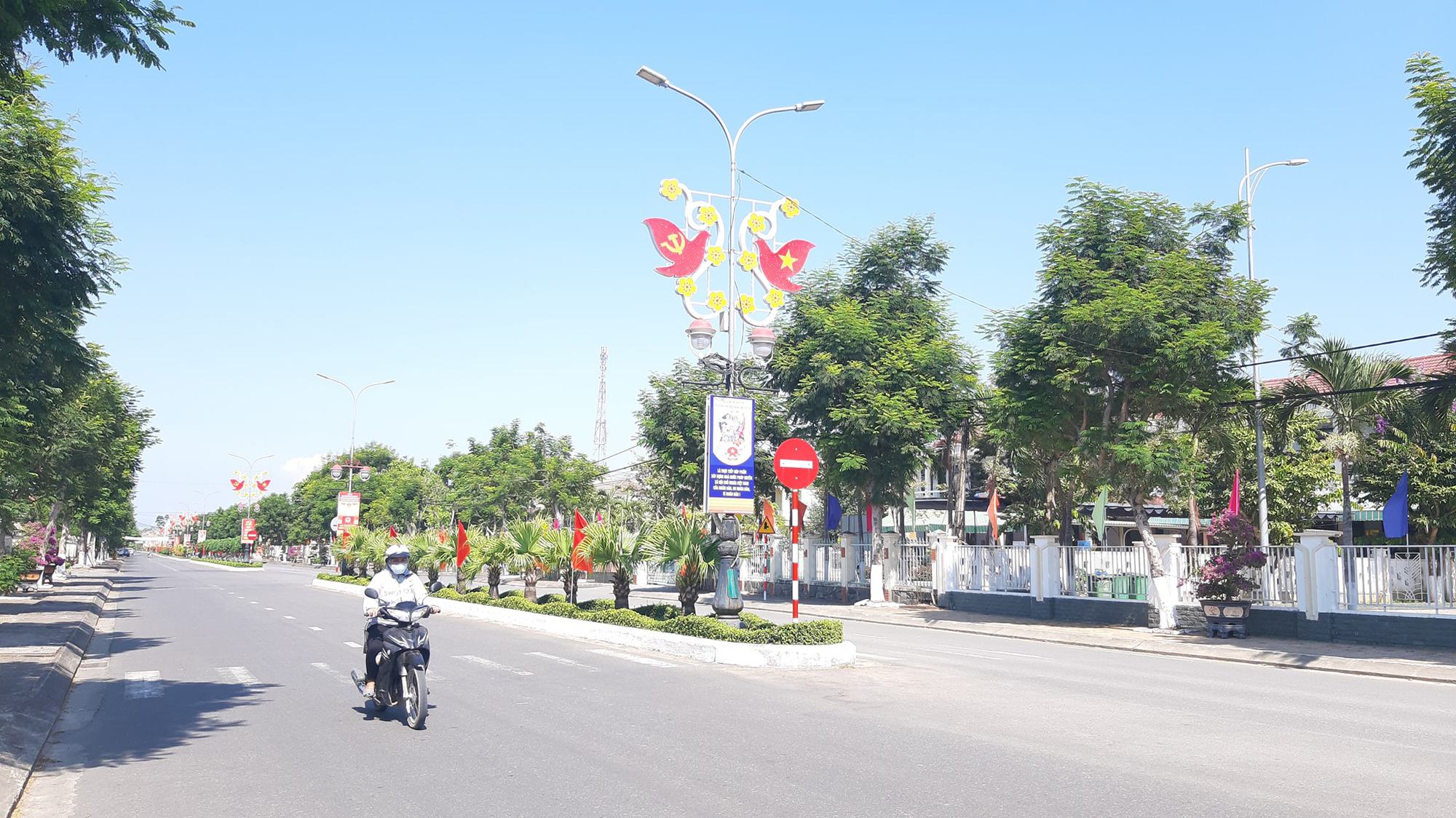 Điện Bàn bứt phá nhờ làm nông nghiệp đô thị - Ảnh 1. Điện Bàn bứt phá nhờ làm nông nghiệp đô thị - Ảnh 1.