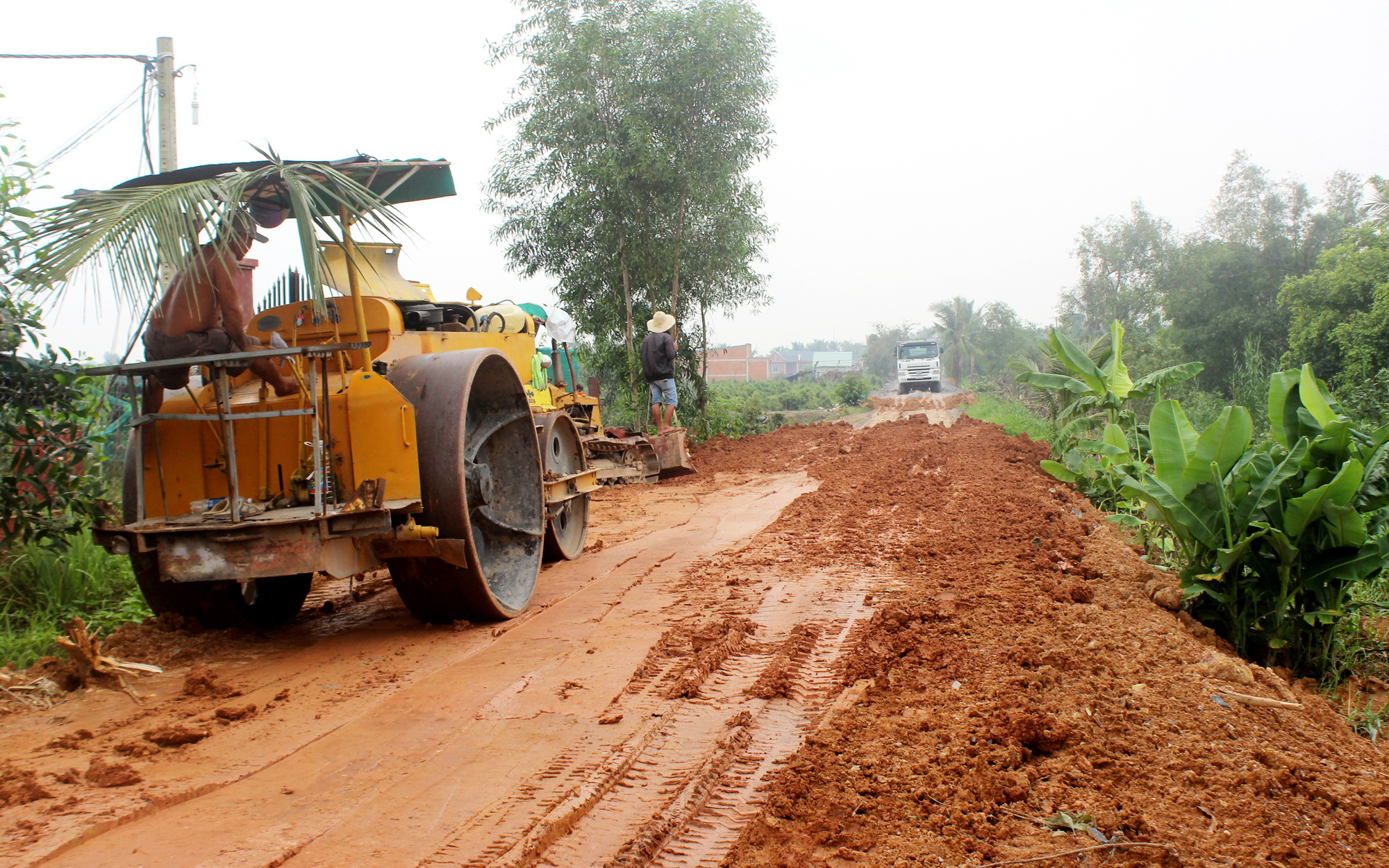 Bình Chánh tăng cường chỉnh trang quy hoạch nông thôn mới - Ảnh 3.
