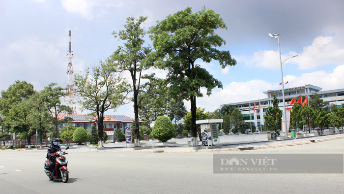 Đường giao thông trên địa bàn Dĩ An được đầu tư đồng bộ và hiện đại. Khu trung tâm hành chính TP.Dĩ An. Ảnh: Trần Khánh