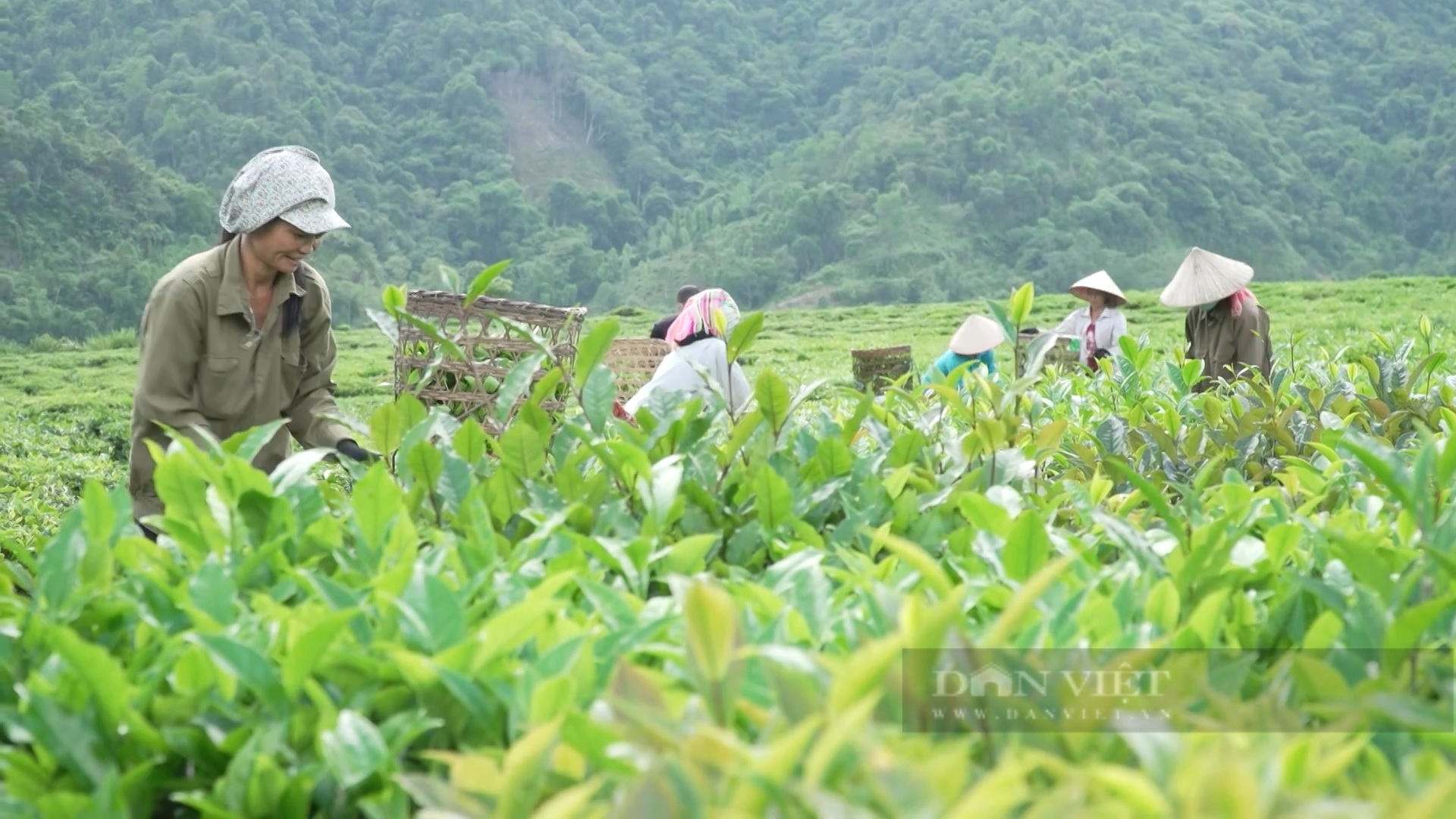Tân Uyên: Xây dựng Nông thôn mới nâng cao, đô thị văn minh ở Phúc Khoa   - Ảnh 5.