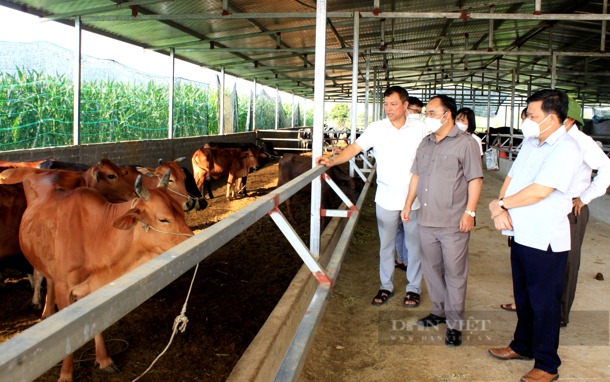 Tân Uyên: Xây dựng Nông thôn mới nâng cao, đô thị văn minh ở Phúc Khoa   - Ảnh 6.