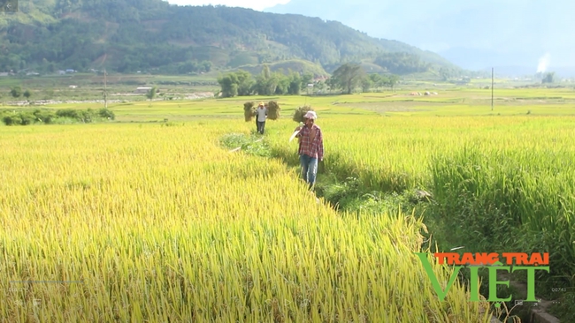 Nông dân Tân Uyên: Ứng dụng khoa học kỹ thuật vào sản xuất   - Ảnh 5.