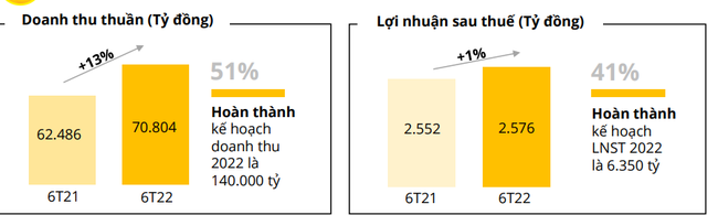 Thế giới Di động (MWG): Lợi nhuận quý II giảm 6,6% so với cùng kỳ năm trước - Ảnh 1.