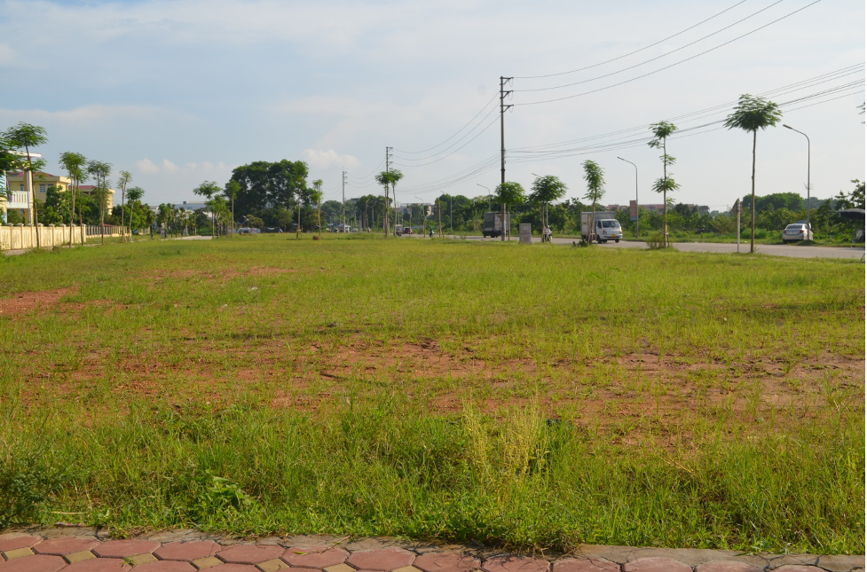 Huyện Mê Linh đấu giá 33 thửa đất, thu về gần 226 tỷ đồng - Ảnh 1.