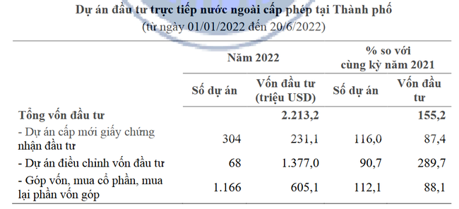 TP. Hồ Chí Minh: 6 tháng đầu năm giáo dục và đào tạo hút mạnh vốn FDI  - Ảnh 1.