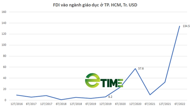 TP. Hồ Chí Minh: 6 tháng đầu năm giáo dục và đào tạo hút mạnh vốn FDI  - Ảnh 3.