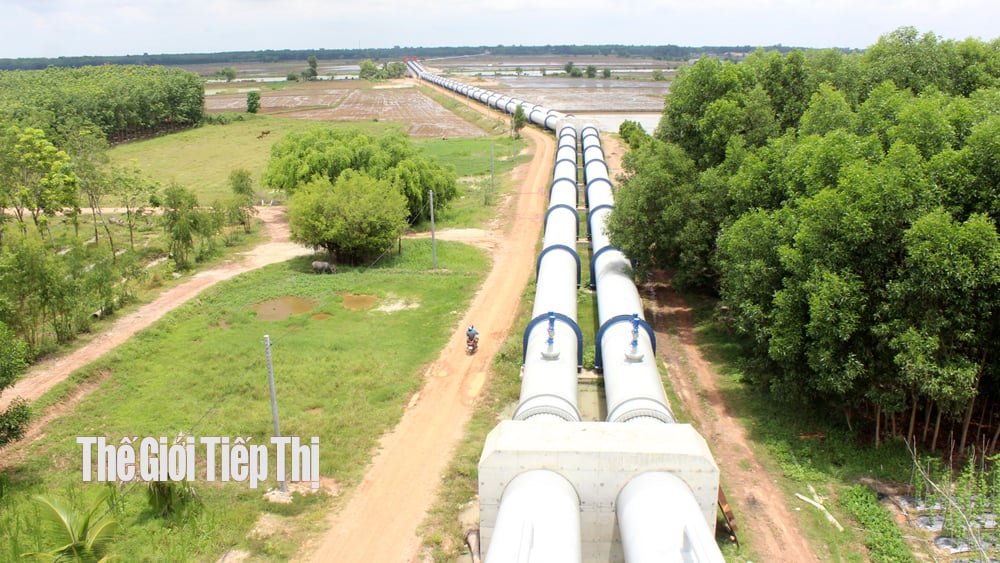 Công trình thủy lợi đưa nước vượt sông Vàm Cỏ Đông còn có hơn 101km kênh tưới chính và kênh tưới cấp 1 phục vụ tưới tiêu gần 17.000ha đất nông nghiệp. Ảnh: Trần Khánh