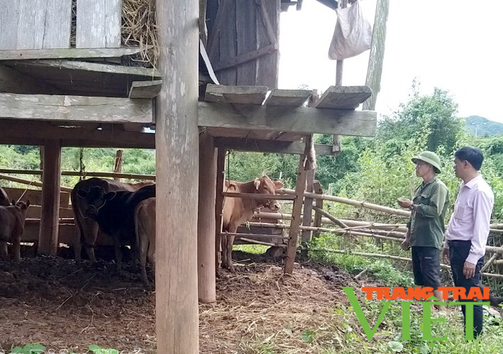 Mường Nhé: Nguồn tín dụng chính sách giúp hộ nghèo phát triển kinh tế - Ảnh 3. Mường Nhé: Nguồn tín dụng chính sách giúp hộ nghèo phát triển kinh tế - Ảnh 3.