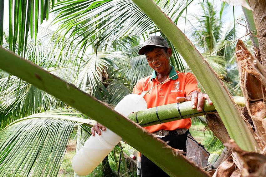 Hấp dẫn thị trường mật hoa quả Việt Nam - Ảnh 1. Hấp dẫn thị trường mật hoa quả Việt Nam - Ảnh 1.