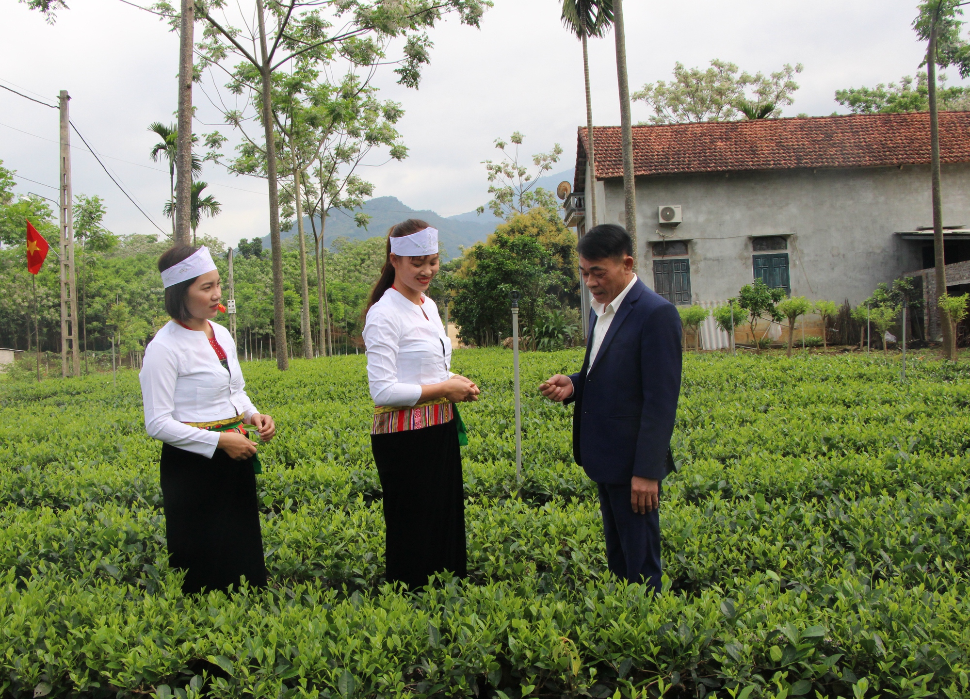Trợ thủ đắc lực của hội viên nghèo ở Ba Vì  - Ảnh 1.