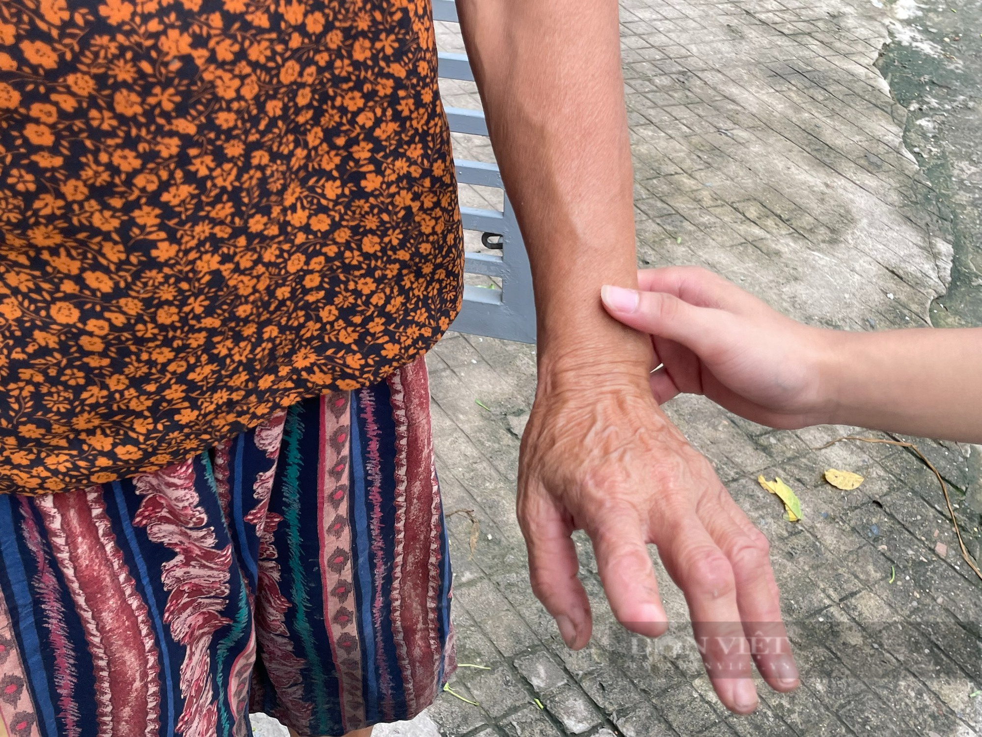 Về làng rắn Vĩnh Sơn nghe kể chuyện về nghề nuôi rắn - Ảnh 5.