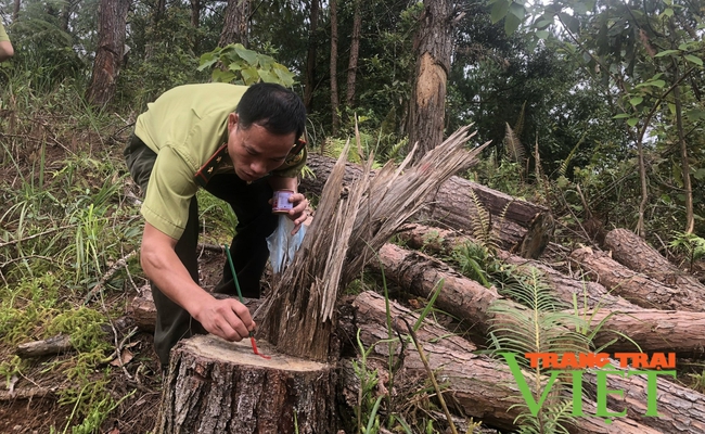 Điện Biên: Ban Chỉ đạo phòng, chống tham nhũng, tiêu cực theo dõi, chỉ đạo 5 vụ việc   - Ảnh 1.