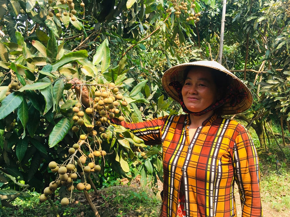 Giúp nông dân chuyển đổi cây trồng từ nguồn vốn nhỏ - Ảnh 1.