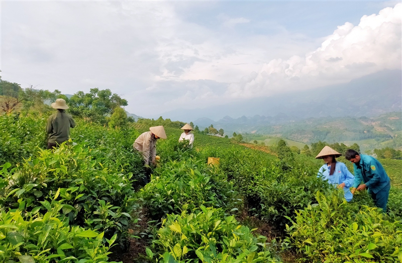 Hội Nông dân tỉnh Lào Cai chung tay xây dựng nông thôn mới - Ảnh 1. Hội Nông dân tỉnh Lào Cai chung tay xây dựng nông thôn mới - Ảnh 1.