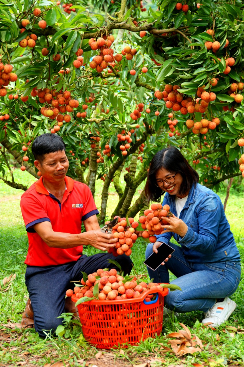 Khai mở tiềm năng du lịch nông thôn (bài 1): Đánh thức vẻ đẹp tiềm ẩn - Ảnh 1.