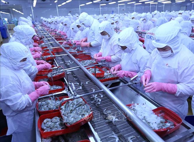 Xuất khẩu thuỷ sản sang Nga phục hồi nhanh - Ảnh 1.