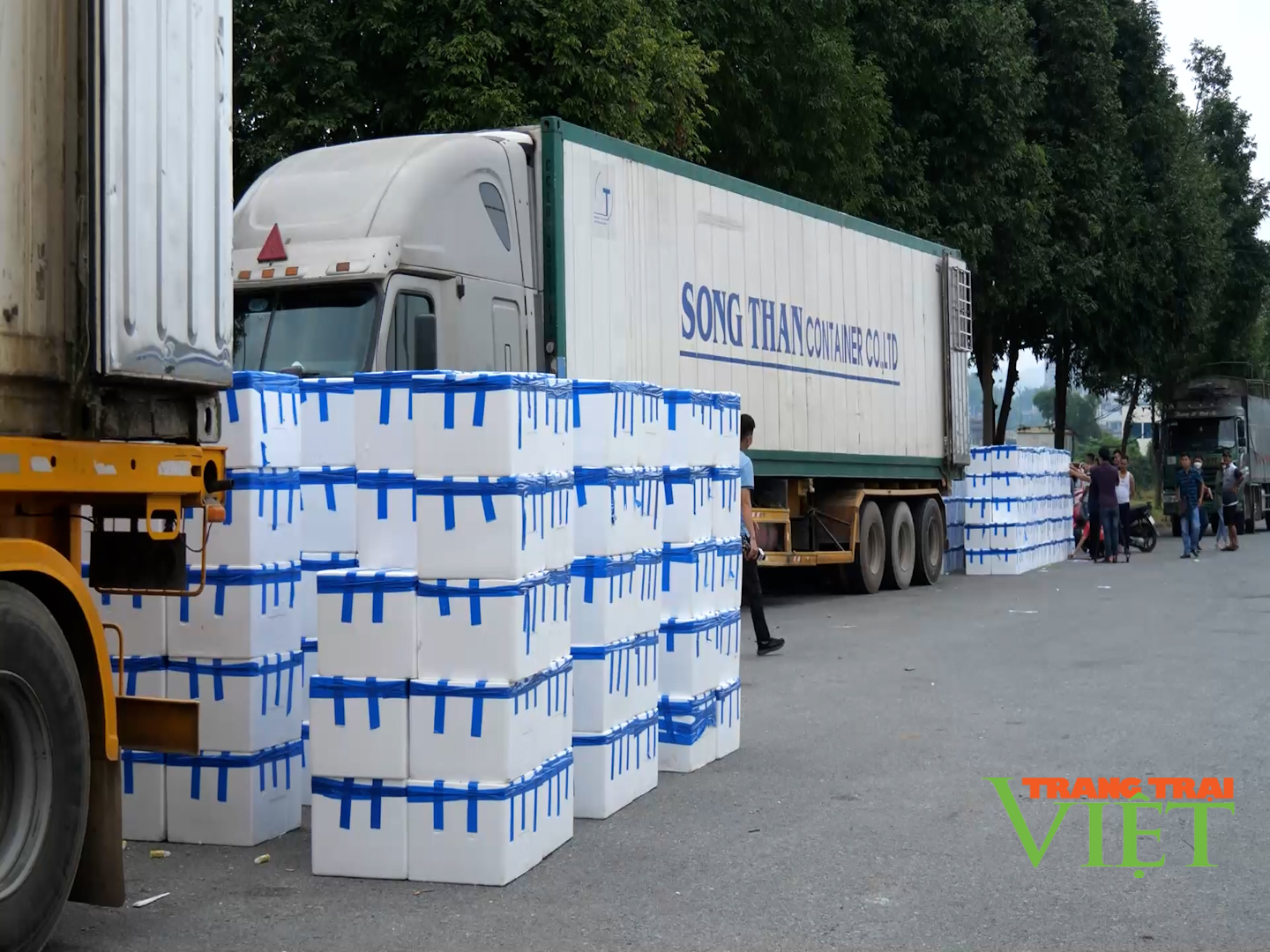Lào Cai: Trên 10.000 tấn trái cây xuất khẩu qua cửa khẩu - Ảnh 1. Lào Cai: Trên 10.000 tấn trái cây xuất khẩu qua cửa khẩu - Ảnh 1.