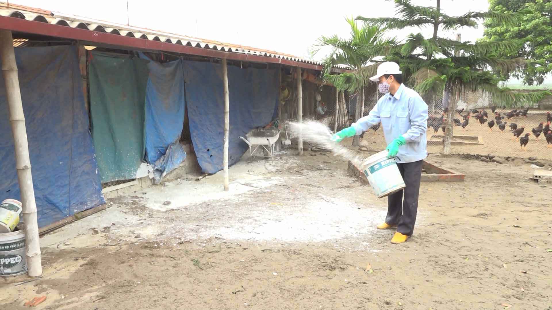 Phòng, chống bệnh cúm gia cầm  - Ảnh 1.