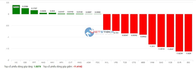 Áp lực xả hàng lan rộng trên cả 3 sàn, hàng trăm mã chứng khoán giảm kịch sàn - Ảnh 3.