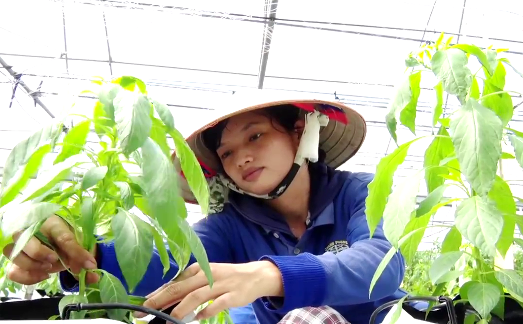 Nâng thu nhập bình quân của người dân nông thôn TP.HCM: Mục tiêu đến 2030 đạt 133 triệu đồng - Ảnh 1.
