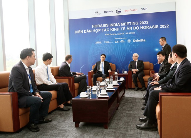 Phó Thủ tướng dự Diễn đàn Hợp tác kinh tế Ấn Độ Horasis 2022 tại Bình Dương - Ảnh 4.