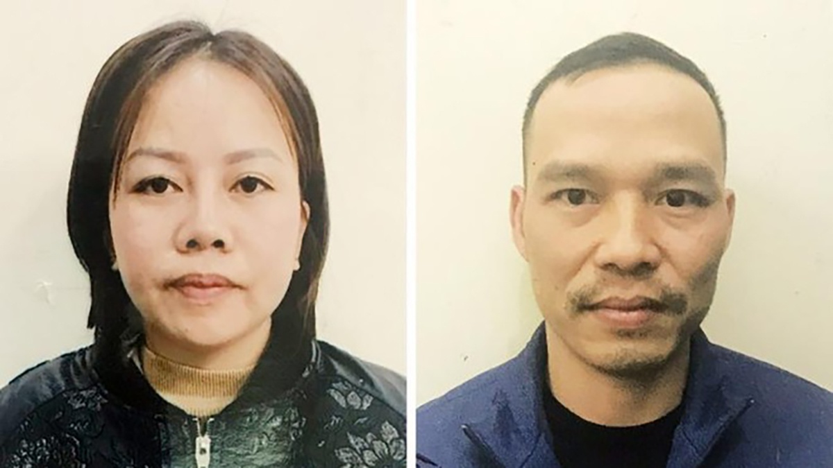 Bị khởi tố vì môi giới đẻ thuê với giá hơn 700 triệu đồng, khung hình phạt thế nào? - Ảnh 1.