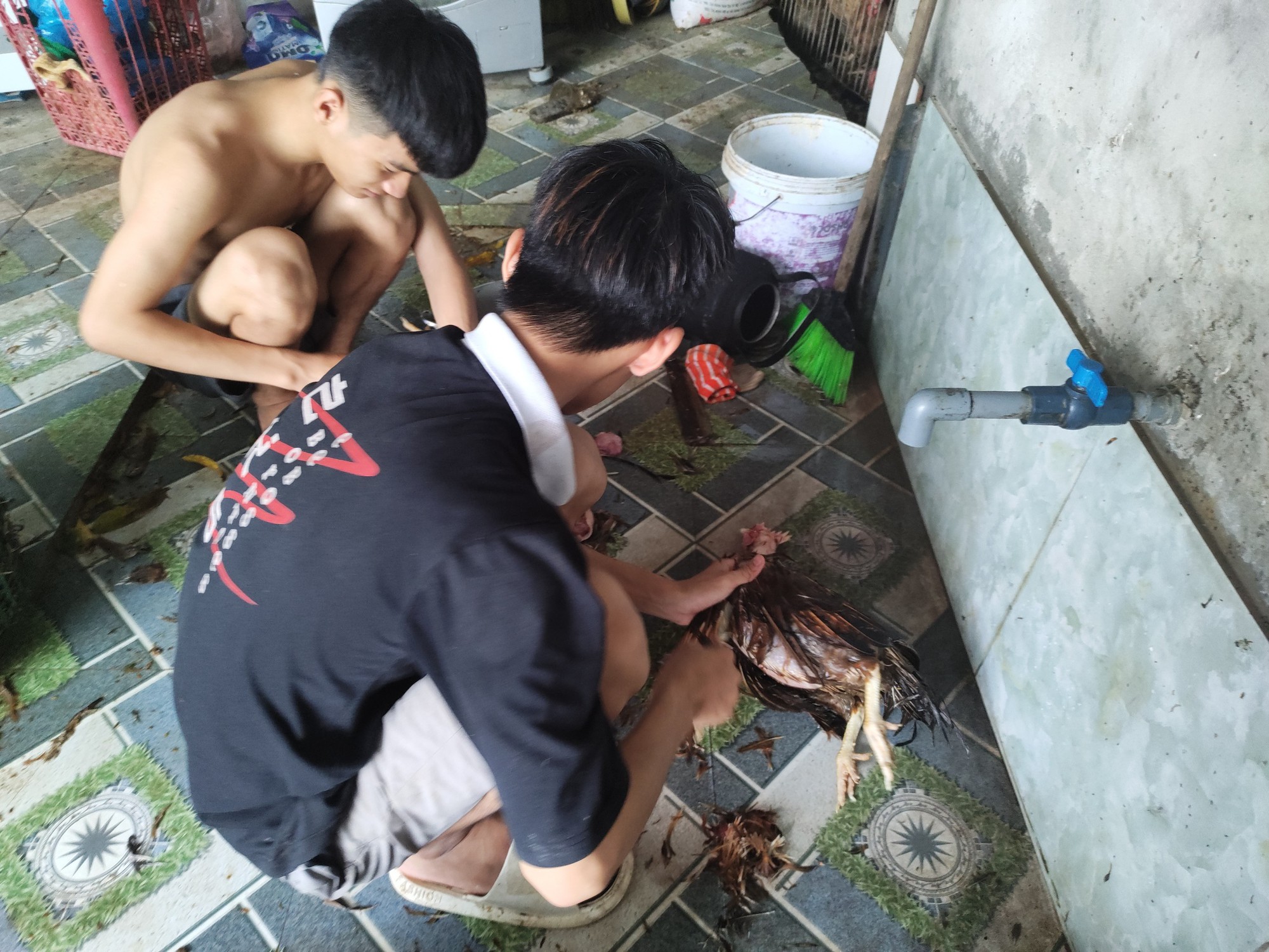 Nước lũ dâng cao đột ngột, nông dân Hà Nội chết gần 2 nghìn con gà chỉ trong 30 phút - Ảnh 7.