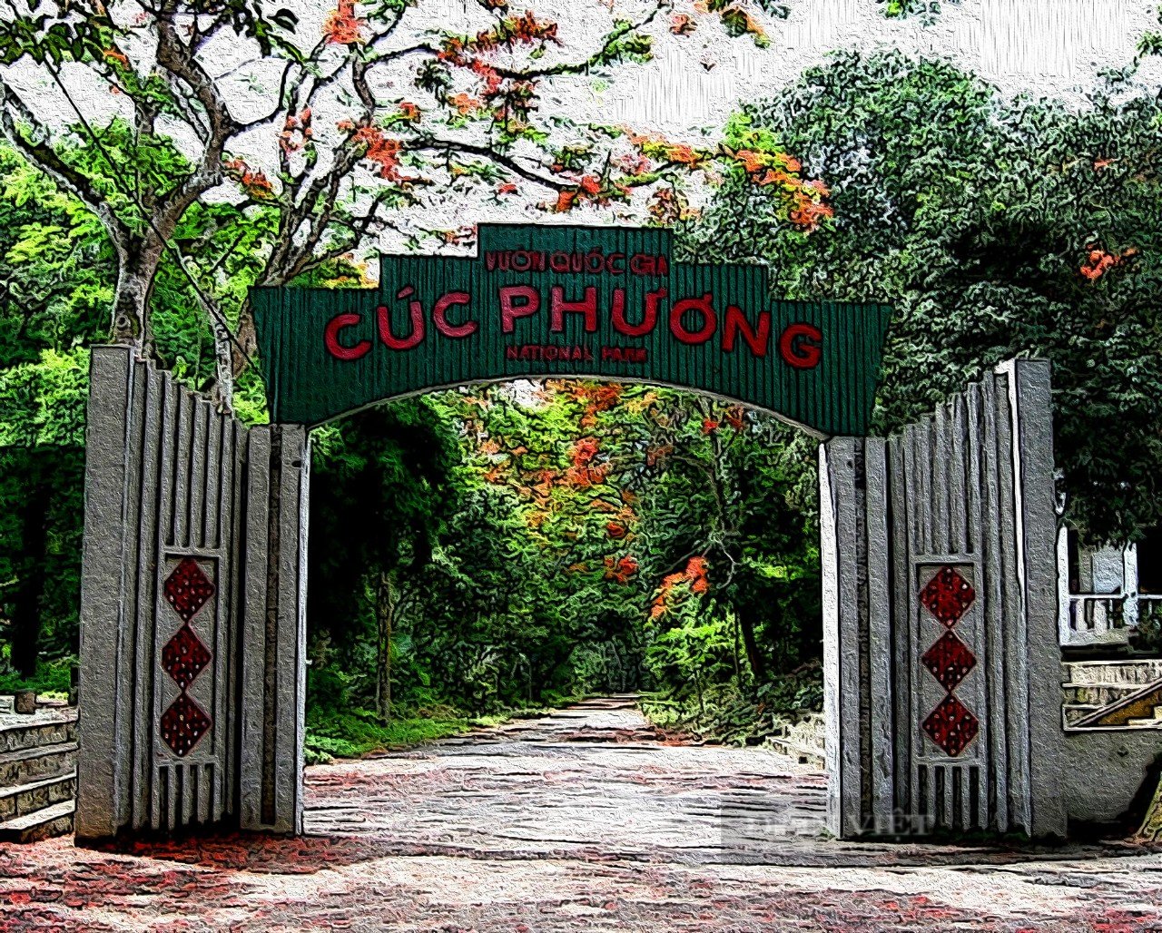 Cúc Phương là Vườn Quốc gia hàng đầu châu Á - Ảnh 1.