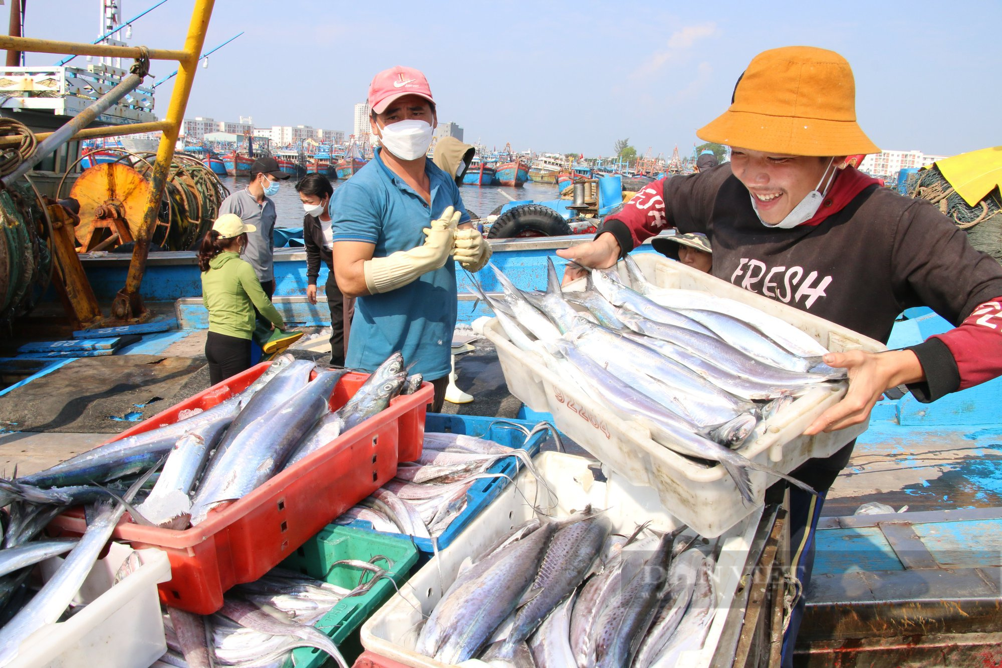 tat/“Chạy nước rút” để gỡ thẻ vàng IUU - Ảnh 1.