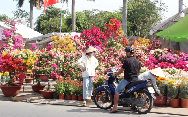 Thị trường hoa Tết năm nay dù đa dạng về chủng loại, màu sắc nhưng sức mua lại thấp hơn so với những năm trước. Ảnh: Trần Khánh