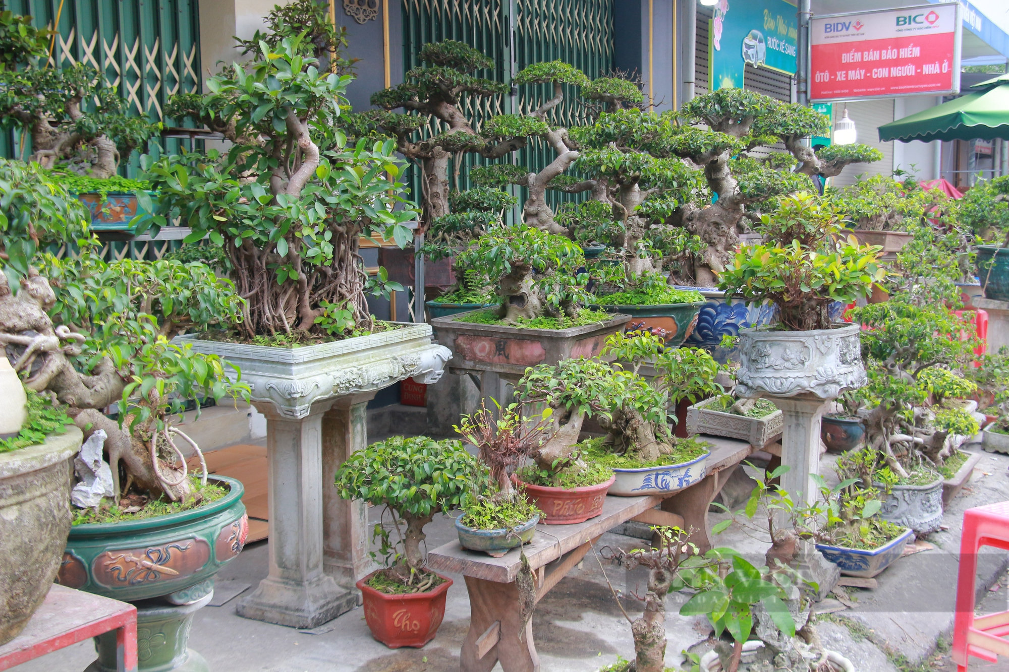 Ngoài chợ Viềng Phủ, chợ Viềng Chùa có gì đặc biệt mà hàng vạn người kéo đến mua sắm lấy may - Ảnh 5.