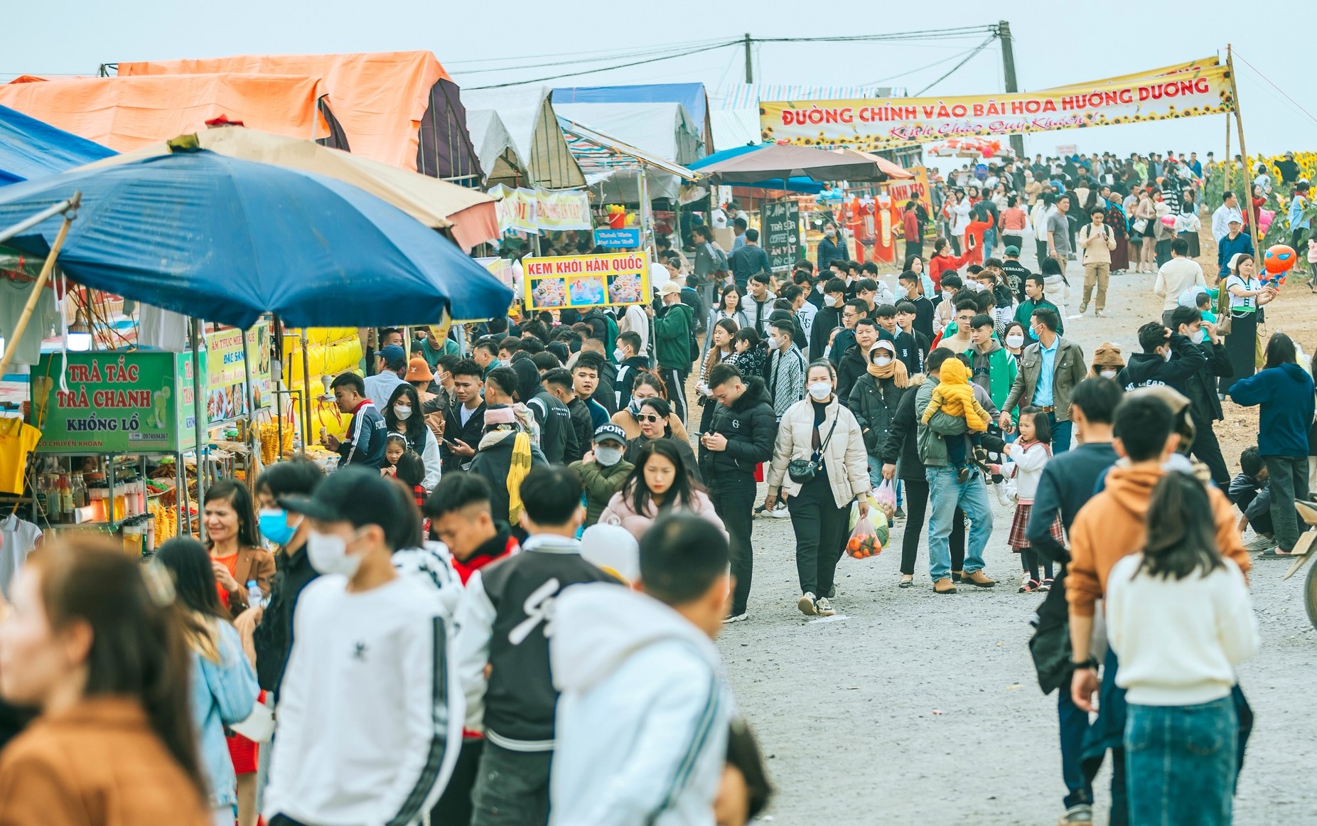 Nghệ An: Cánh đồng bạt ngàn hoa hướng dương vàng rực một góc trời hút hàng vạn du khách đổ về check-in - Ảnh 3.